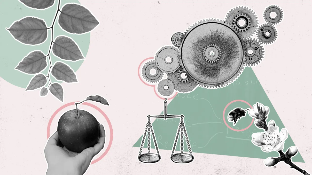 Teaching for sustainability_0823.jpg Image with a leaf, hand holding an apple, cogwheels, scale, and bumblebee flying from a flower.