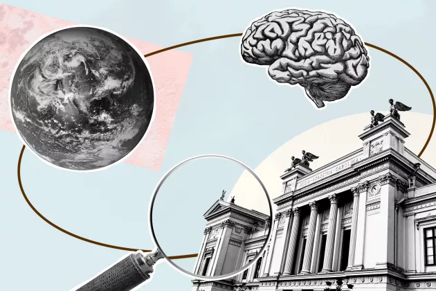 Illustration med universitetshuset, ett jordklot och en hjärna.