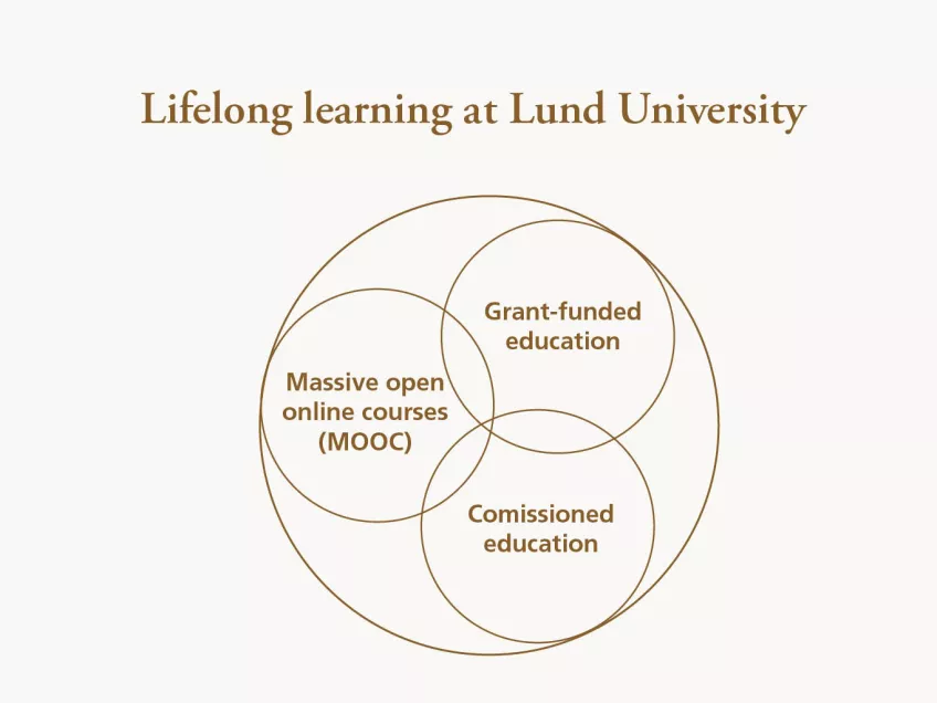 Diagram overview of lifelong learning at LU